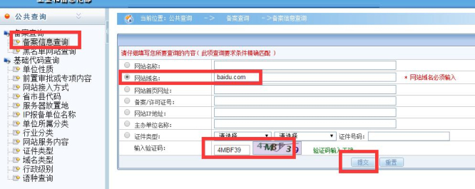 如何查询域名及其所有者信息 (如何查询域名的ip地址)-亿动网