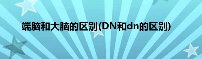 全面解析DNS设置：首选DNS地址的作用与选择 (全面解析地域之诗)-亿动网