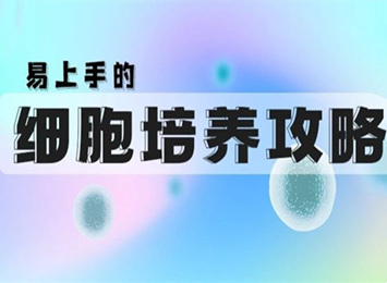 技术指南：轻松掌握云主机的开启与配置技巧 (什么叫技术指南)-亿动网