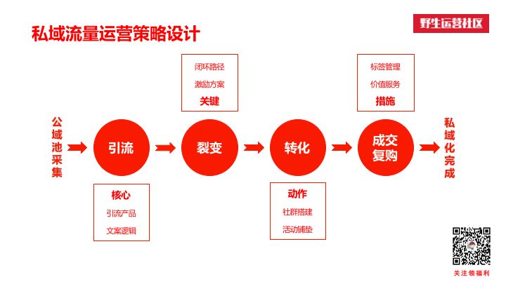 实用指南：域名被墙应对策略与解除步骤 (域常用策略有哪些)-亿动网