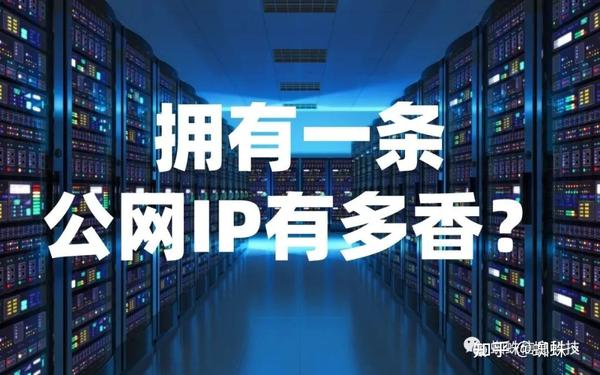 了解公网IP的获取方式：网络环境下的实用技巧与建议 (何为公网ip)-亿动网