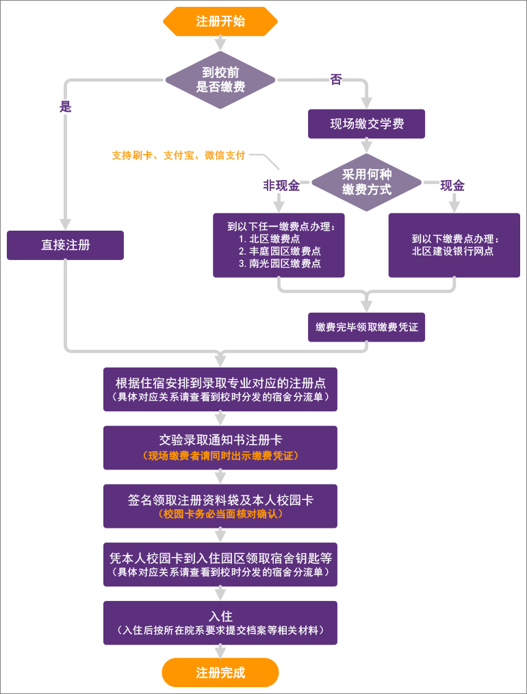 从注册到管理：全面解析海外域名的最新趋势与发展动态 (从注册到管理员怎么弄)-亿动网