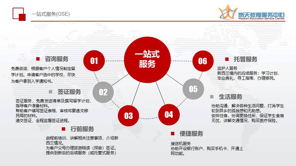 一站式指南：掌握域名到期查询的技巧与注意事项，保障您的在线业务顺利运行 (一站式指南:签证与护照办理全攻略)-亿动网