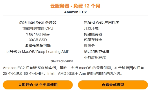 美国免费主机：零成本开启网站，探索无限可能-亿动网