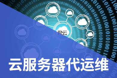 服务器代维的优势与挑战：提升IT运维效率，实现业务持续增长 (服务器代维报价)-亿动网