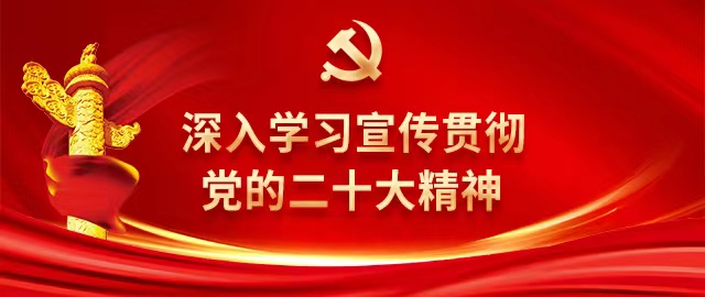 全面指南：如何轻松查看你的IP地址并了解网络连接状态 (指南全面发展)-亿动网