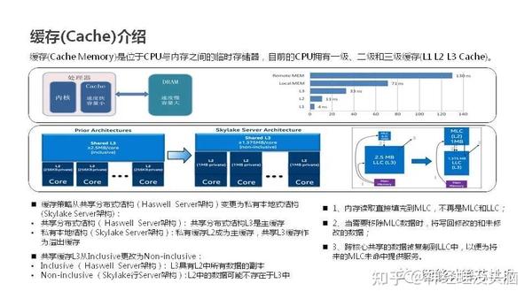 探索服务器论坛的深度交流：掌握最新技术动态与最佳实践分享 (探索服务器本文怎么写)-亿动网