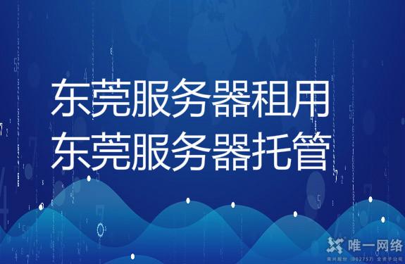 东莞服务器：推动数字化转型的关键基础设施，为企业创新提供强大支持 (东莞服务器托管服务)-亿动网