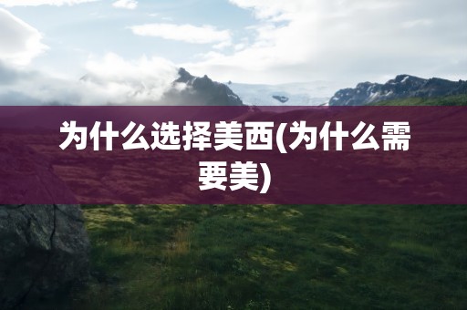 为什么选择美国服务器？深入分析本网站在保障用户体验中的重要角色 (为什么选择美的集团作为研究对象)-亿动网