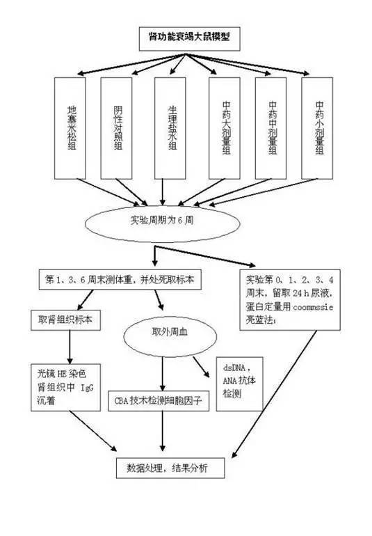 技术指南：如何有效利用万网的域名解析，实现网站的完美上线 (技术指南如何写)-亿动网